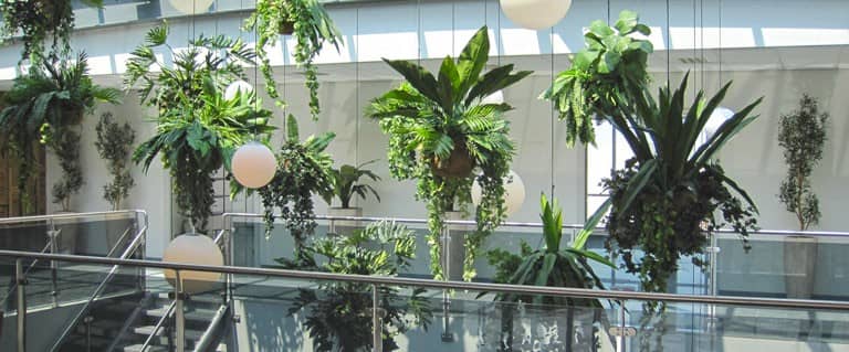 Kunst Hangplanten