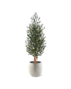 Kunst Buxus Haagplant 165cm Groen/rood