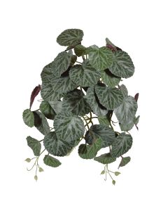 Saxifraga kunst hangplant 45cm - groen/rood