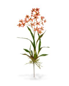 Macara Orchidee kunstplant 80cm - oranje