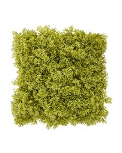 Rendier kunst Mosmat 25x25cm - groen - FR - brandvertragend