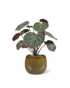 Saxifraga kunstplant groen/rood 25cm in 10cm pot