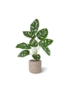 Monstera Adonsonii kunstplant 40cm in pot
