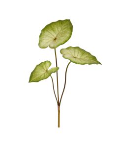 Caladium Aaron Kunstplant 60cm