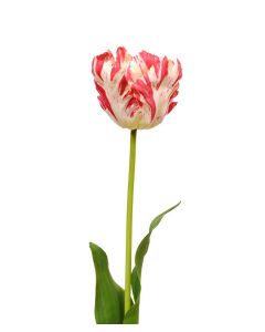 Van Gogh Tulp kunstbloem 70 cm rood-wit