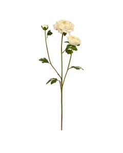 Kunst Ranonkeltak 60 cm creme