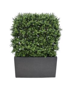 Buxus deluxe kunstheg 80x100cm - UV bestendig