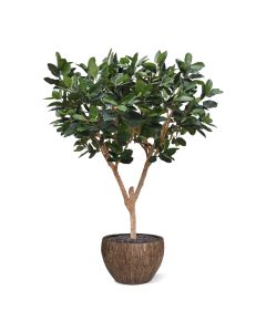 Elastica Robusta XL kunstboom 300cm groen