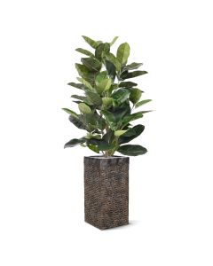 Elastica Robusta kunstplant 120cm - groen