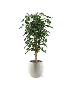 Ficus Benjamini kunstboom 150cm