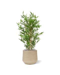 Japanse Bamboe kunstboom 90cm - UV bestendig