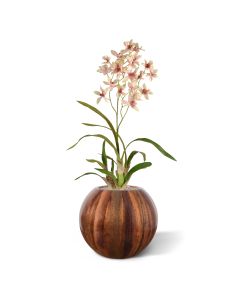 Macara Orchidee kunstplant 80cm - rose