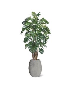 Monstera Giant deluxe kunstboom - 210 cm