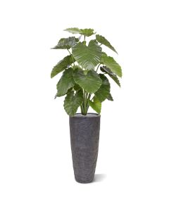 Alocasia Calidora kunstplant 115cm