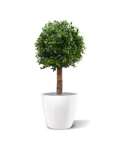 Buxus bol deluxe kunstplant 25cm - UV bestendig