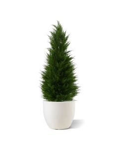 Conifeer deluxe kunstplant 100cm - UV bestendig