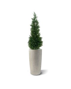 Conifeer deluxe kunstplant 120cm - UV bestendig