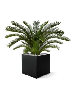 Cycas deluxe kunstpalm M 80cm - UV bestendig