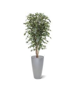 Ficus Exotica deluxe kunstboom 180cm - bont
