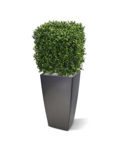 Kunst Buxus vierkant 30cm - UV bestendig