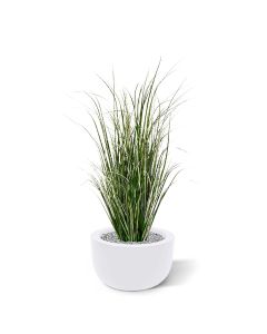 Kunst Rietgras plant 80cm - groen/crème