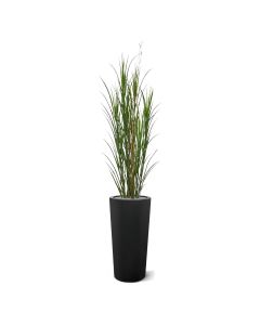 Kunst Rietgras plant deluxe 165cm - groen - UV bestendig