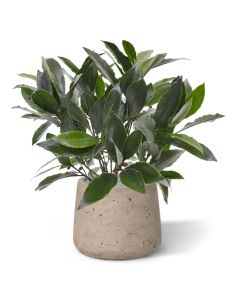 Laurier kunstplant 35cm - UV bestendig