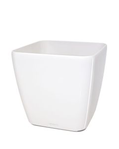 Lechuza Quadro sierpot 21x21x20 cm wit
