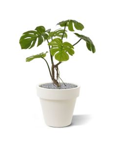 Monstera kunstplant 50cm