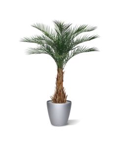 Phoenix kunstpalm deluxe 180cm