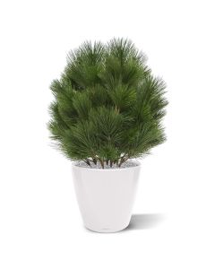 Pinus bol kunstplant 60cm - UV bestendig