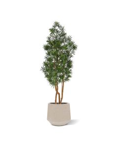 Podocarpus Kunstboom 150cm UV bestendig