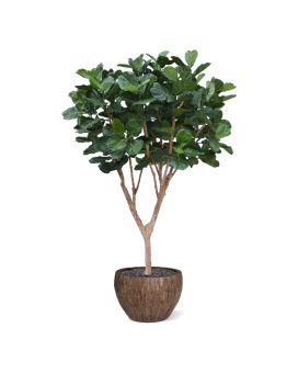 Ficus Lyrata XL kunstboom Deluxe 300cm