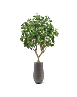 Ficus Umbellata Kunstboom 250cm