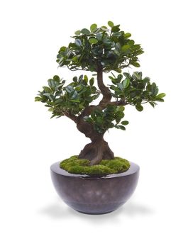 Panda Bonsai kunstboom op voet 70cm