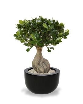Panda Bonsai kunstboom 55cm