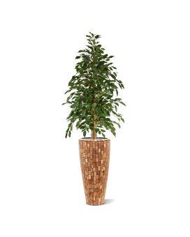 Ficus Exotica kunstboom 150cm - groen