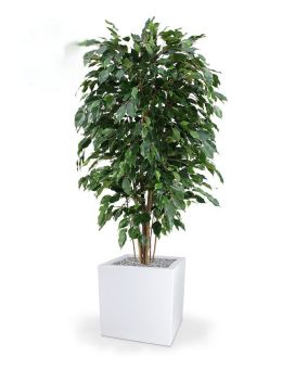 Ficus Exotica deluxe kunstplant 150cm - groen - FR - brandvertragend