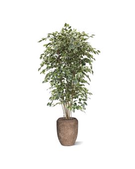 Ficus Exotica deluxe kunstboom 210cm - bont