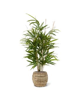 Royal Bamboe kunstplant 70cm - groen