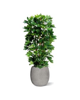 Schefflera kolom kunstplant 120cm