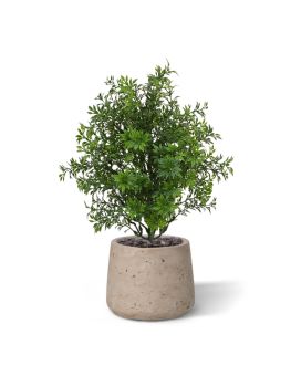 Eucalyptus kunstplant 30cm - UV bestendig