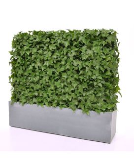 Hedera kunstheg 80x25x56cm - UV bestendig