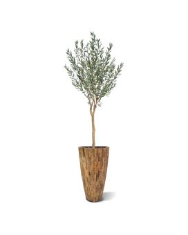 Olijf Kunstboom N op stam 200cm