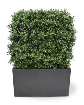 Buxus deluxe kunstheg 80x100cm