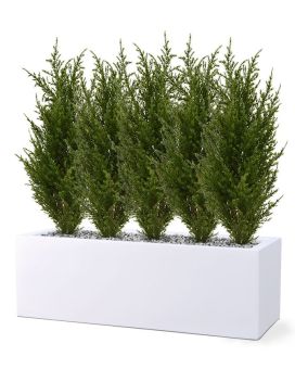Conifeer kunstplant 50cm
