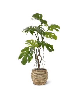 Monstera kunstplant 70cm