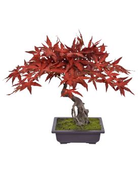 Acer Kunst Bonsai 50cm Burgundy