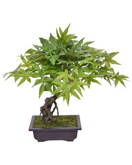 Acer Kunst Bonsai 50cm groen