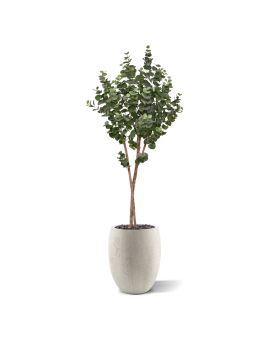 Eucalyptus Kunstboom op stam 170cm
